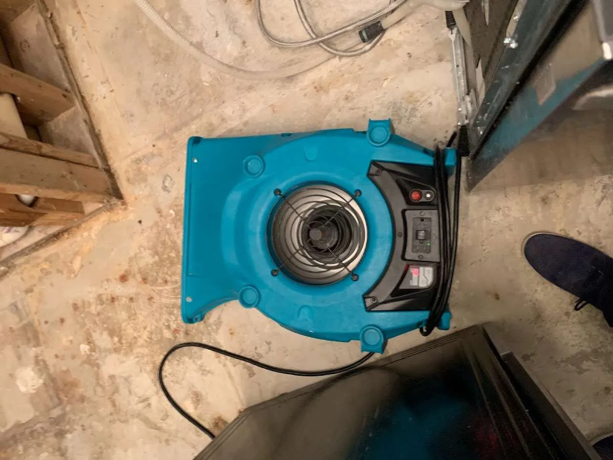 Air mover drying equipment for Mold Remediation & Removal in Aledo